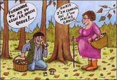 Nature : 
Champignon comestible qui pousse d'août à décembre, le meunier a une saveur douce et dégage une forte odeur de farine fraiche, d'où son nom.
Parmi ces trois espèces en photo, lequel est-ce ?