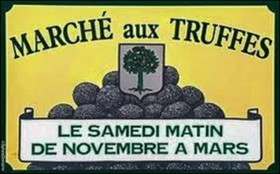 Société / géographie : 
Créé vers 1923, le marché aux truffes de Richerenches est le plus important marché aux truffes d'Europe en quantité commercialisée. Se déroulant chaque samedi de la mi-novembre à la mi-mars, 700 kg de ces champignons sont vendus chaque semaine.
Dans quel département de Provence-Alpes-Côte d'Azur, se situe cette commune de 537 résidents ?