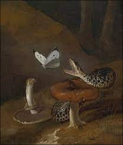 Peinture : 
Quel baroque a réalisé en 1655, cette huile sur toile intitulée ''Nature morte avec des champignons'' ?