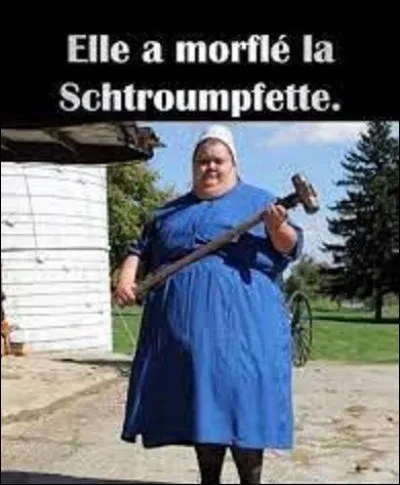 La bande dessinée créée par Peyo en 1958, "Les Schtroumpfs" raconte l'histoire de petites créatures bleues logeant dans un village champignon en forêt. En 1967, apparaît le personnage Schtroumpfette, dans l'album du même nom, inventée par le méchant sorcier Gargamel, qui veut semer la zizanie parmi les Schtroumpfs.
Pour cela, il se servit des traits d'une actrice célèbre, laquelle ?