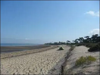 Géographie : 
La plage de la Cèpe est une des principales plages du quartier résidentiel de Ronce-les-Bains, située sur la commune de La Tremblade.
Dans quel département de la région Nouvelle-Aquitaine se trouve cette ville comptant 4 322 habitants ?