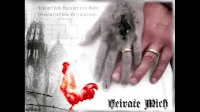 Complétez : 
"Von dem Gesicht das mir..."