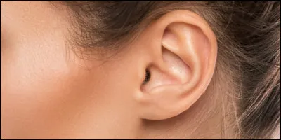 Qu'est-ce qui ne se trouve pas dans l'oreille ?