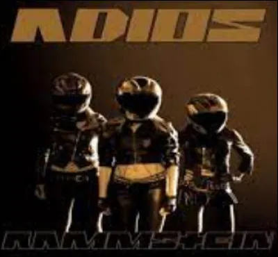 Complétez : 
"In seinem Blut tobt eine..."