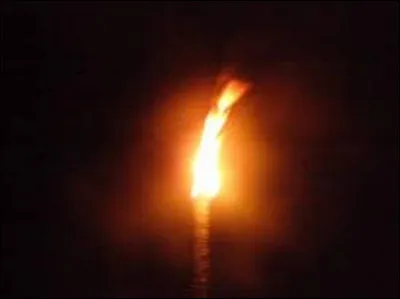 À quel manga te fait penser le mot ''torche'' ?