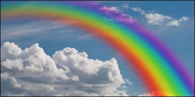 Votre couleur préférée c'est le :