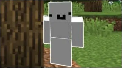 Qui est cette entité ?