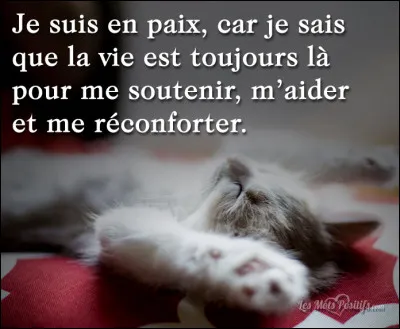 La vie pour toi, qu'est-ce que c'est ?