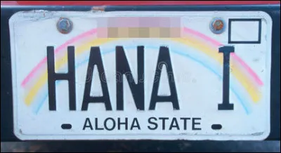 "Aloha" signifie en hawaïen "bonjour, au revoir, affection, amour, compassion, pitié..." ainsi que dautres sentiments et nuances apparentés. Comment dit-on "bienvenue à tous" ?