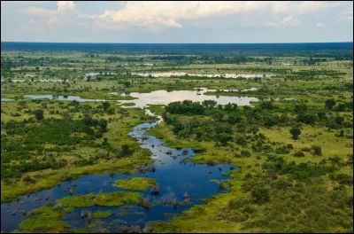 Quel est ce fleuve d'Afrique Australe qui prend sa source en Angola et qui achève son cours dans un delta du désert du Kalahari ?