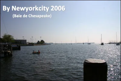 Quel est ce fleuve de l'est des États-Unis qui prend sa source dans l'État du Maryland et se jette dans la baie de Chesapeake ?