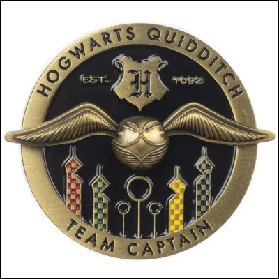 Quel est ton rôle de quidditch préféré ?