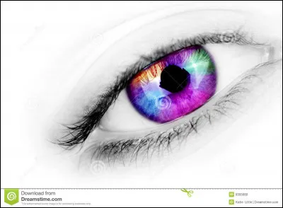 Quelle est ta couleur préférée ?