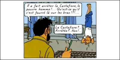 Dans laquelle de ces aventures Tintin fait-il du yoga ?