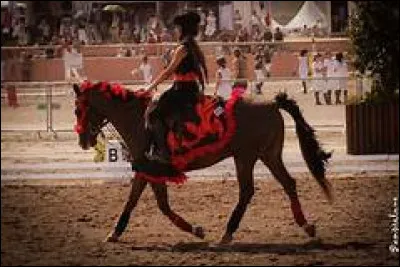 Marie est au trot à droite, Paul évolue au trot à main gauche, qui a la priorité ?