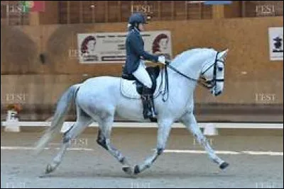 Un petit cercle s'appelle une volte.