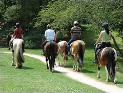 Les promenades peuvent se faire...