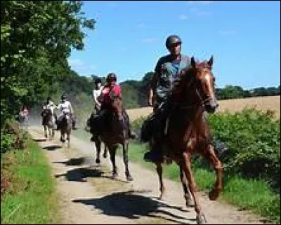 Les randonnées durent en général une heure.