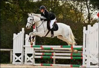 Quelles sont les 3 disciplines les plus pratiquées en compétition en France ?