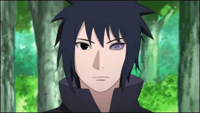 Sasuke déteste...