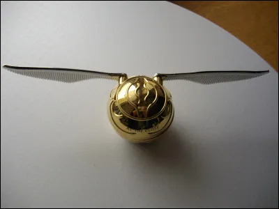 Quel serait ton rôle au Quidditch ?