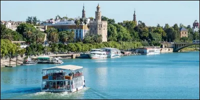 Quel fleuve espagnol traverse Cordoue et Séville ?
