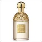 Quel est ce parfum ?