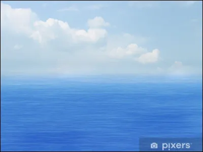 Devinette poétique : 
Que peut-on trouver dans la mer aussi bien que dans le ciel ?