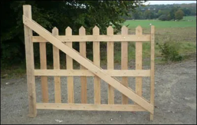 Ma vie - J'en ai vu des amants- Ma vie - L'amour ça fout le camp !