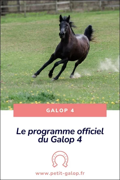 Si tu fais de l'équitation, tu as...