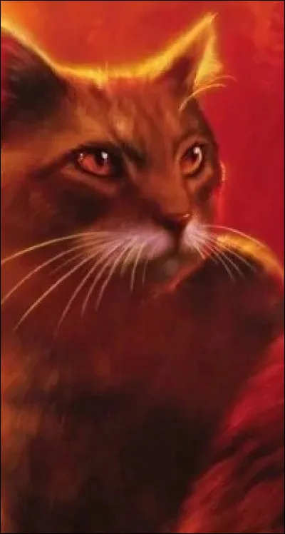 Il sappelle Nuage de Sang et il semble tapprécier. Après un petit échange, il te dit ''retrouve-moi cette nuit pour discuter''. 
Que lui réponds-tu ?