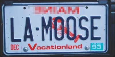 « L'État du Pin » ou « du Bois » > On dirait un département français, sans rire. Et il est le seul État américain dont le nom ne comporte qu'une syllabe. Lequel est-ce ?