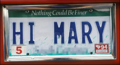 « L'État du Palmetto » tiendrait son nom d'une colonie* nommée en l'honneur d'un roi de France portant le numéro 9. Quel est cet État ?