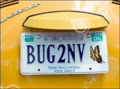 Cet État est surnommé la « Mère ... » (Complétez et trouvez duquel il s'agit !)