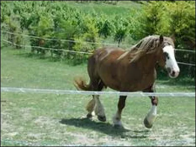 Quelles sont les affirmations exactes ?