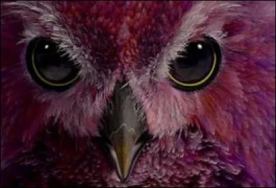 Quel est ton animal fantastique préféré ?