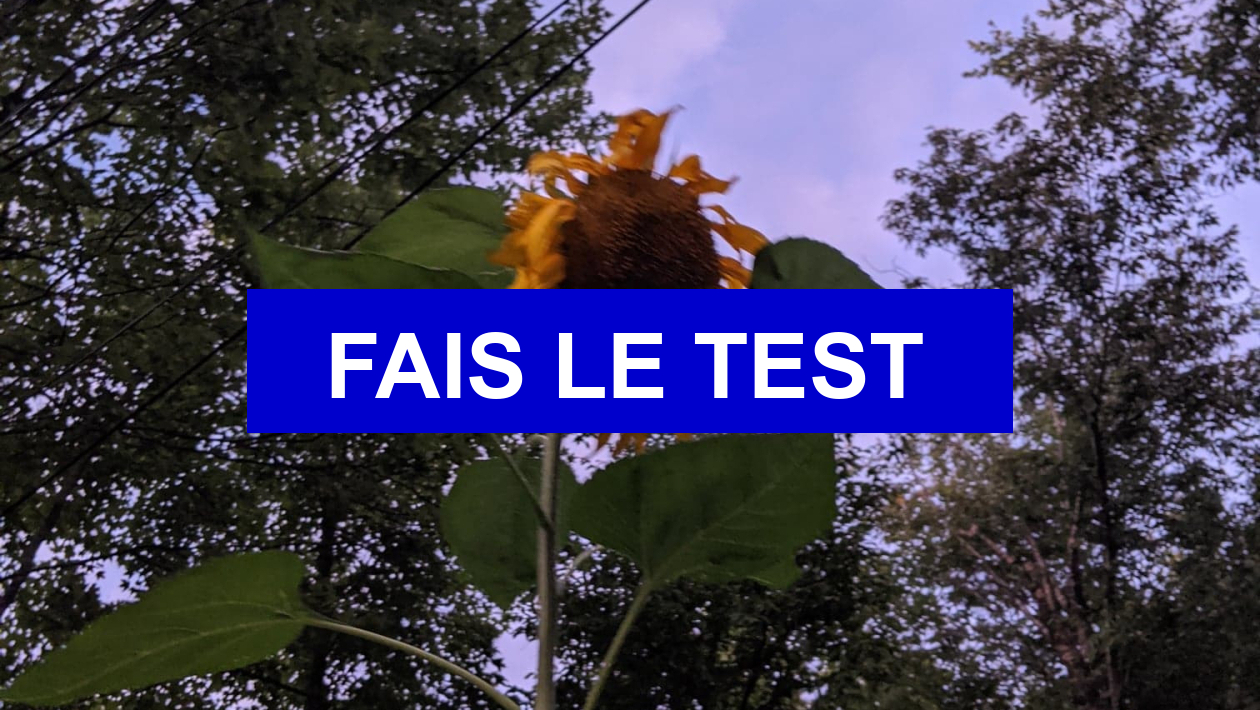 Quiz Journal Intime