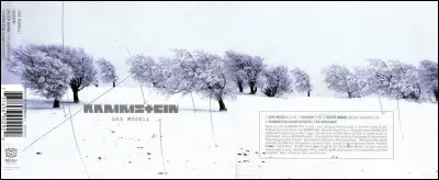 Complétez : 
"Sie stellt sich zur Schau für das..."