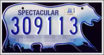 Très "spectacular" aussi est la forme de cette plaque, qui a été imaginée par [...qui donc ?]. L'acronyme de cet État nous rappelle celui d'une grande prêtresse de ce site !