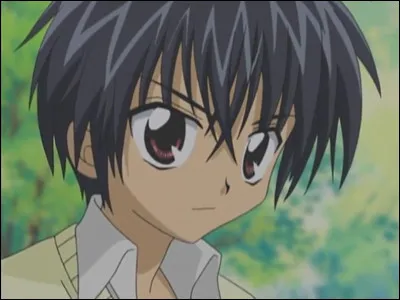 Le garçon que tu voudrais serait :