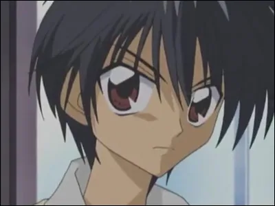 Le garçon que tu voudrais aurait les cheveux de couleur