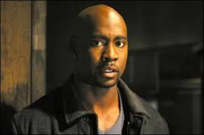 Qui est Robin Wood ?