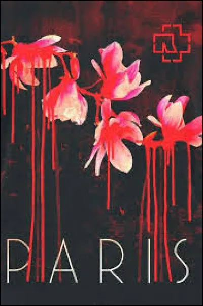 Complétez : 
"Dann fing ich an zu..."