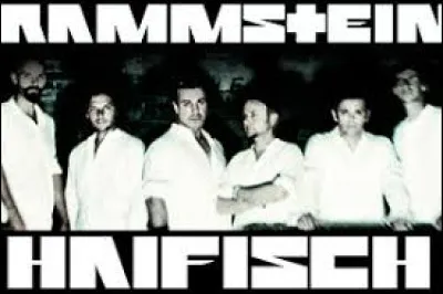 Complétez : 
"Wenn man uns Regeln..."