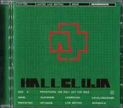 Complétez : 
"Ein Bild des..."