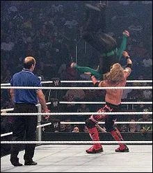 Quels taient ses finishers ?