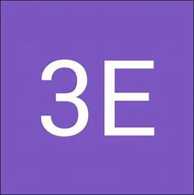 Ils sont tous en 3-E.