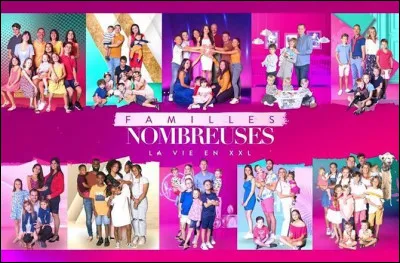 Mise en situation - Tu regardes à la télévision l'émission ''Familles nombreuses, la vie en XXL". Quand tu vois une famille de 10 enfants, comment réagis-tu ?