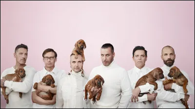 Complétez : 
"Die Tasten sind..."