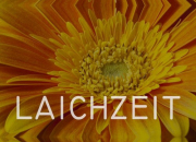 Quiz 'Laichzeit' - Rammstein